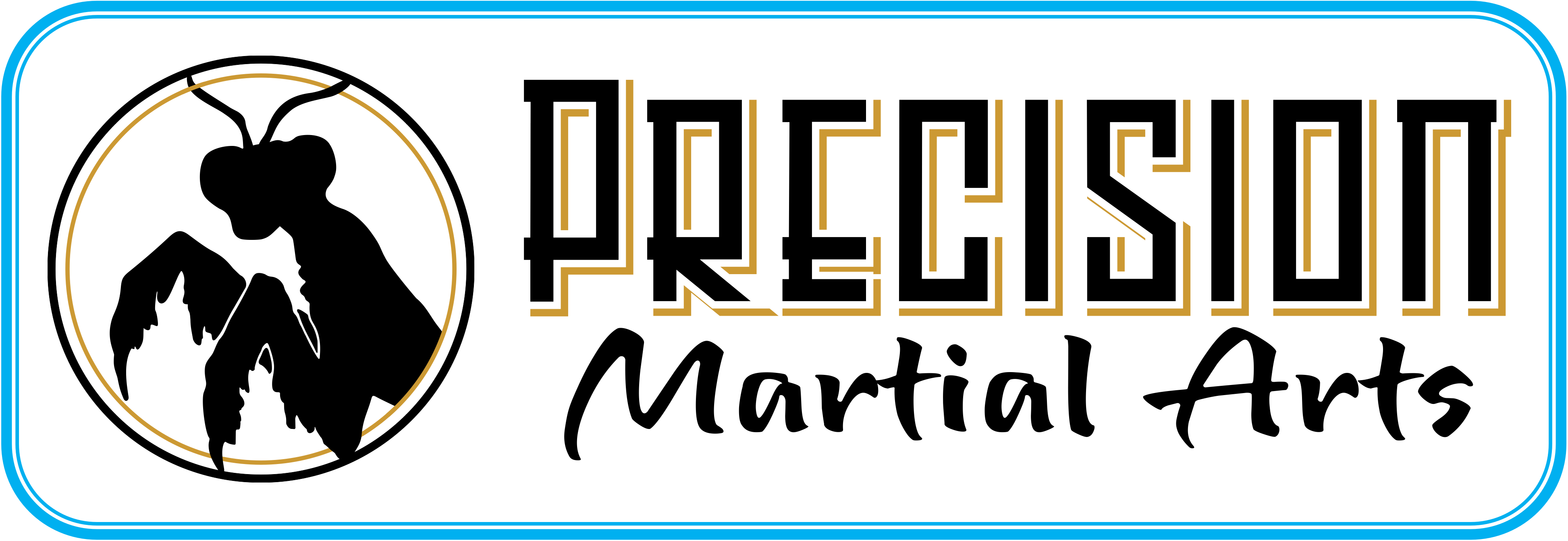 Precision Martial Arts